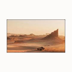 100'' Photon Anti-Speckle Screen
